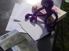 Knut schreibt seinen Freunden daheim ein paar Postkarten